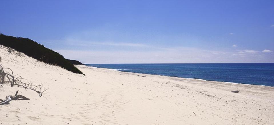 Agriturismo Santa Barbara سارّوتش المظهر الخارجي الصورة