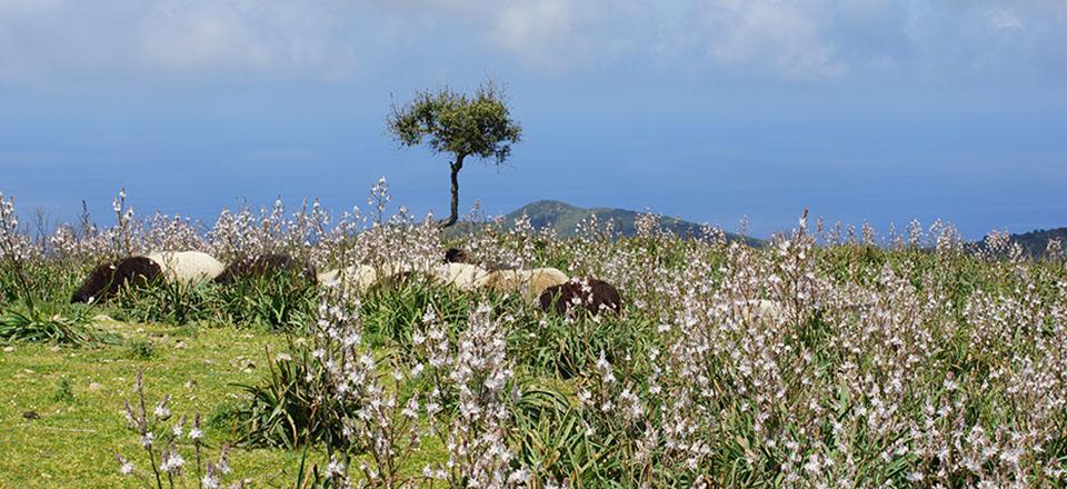 Agriturismo Santa Barbara سارّوتش المظهر الخارجي الصورة