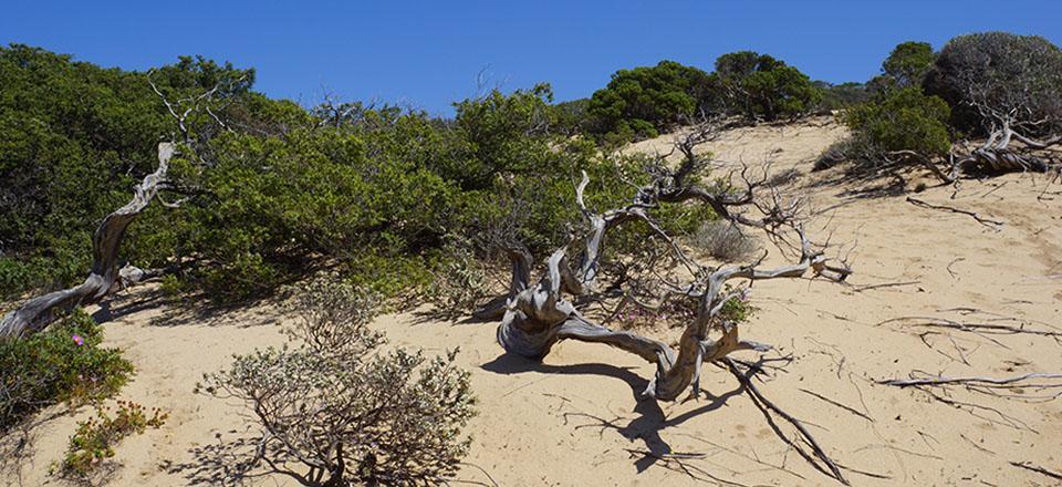 Agriturismo Santa Barbara سارّوتش المظهر الخارجي الصورة